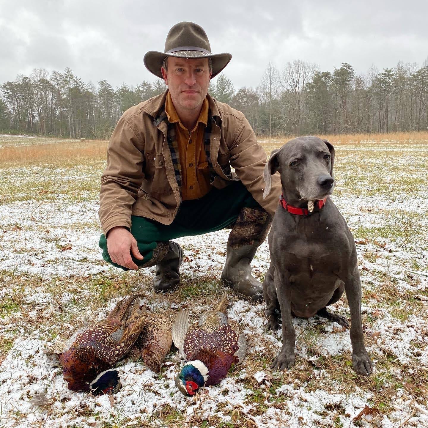 A hunter and a dog pose with two harvested ring-necked pheasants in a snowy field.