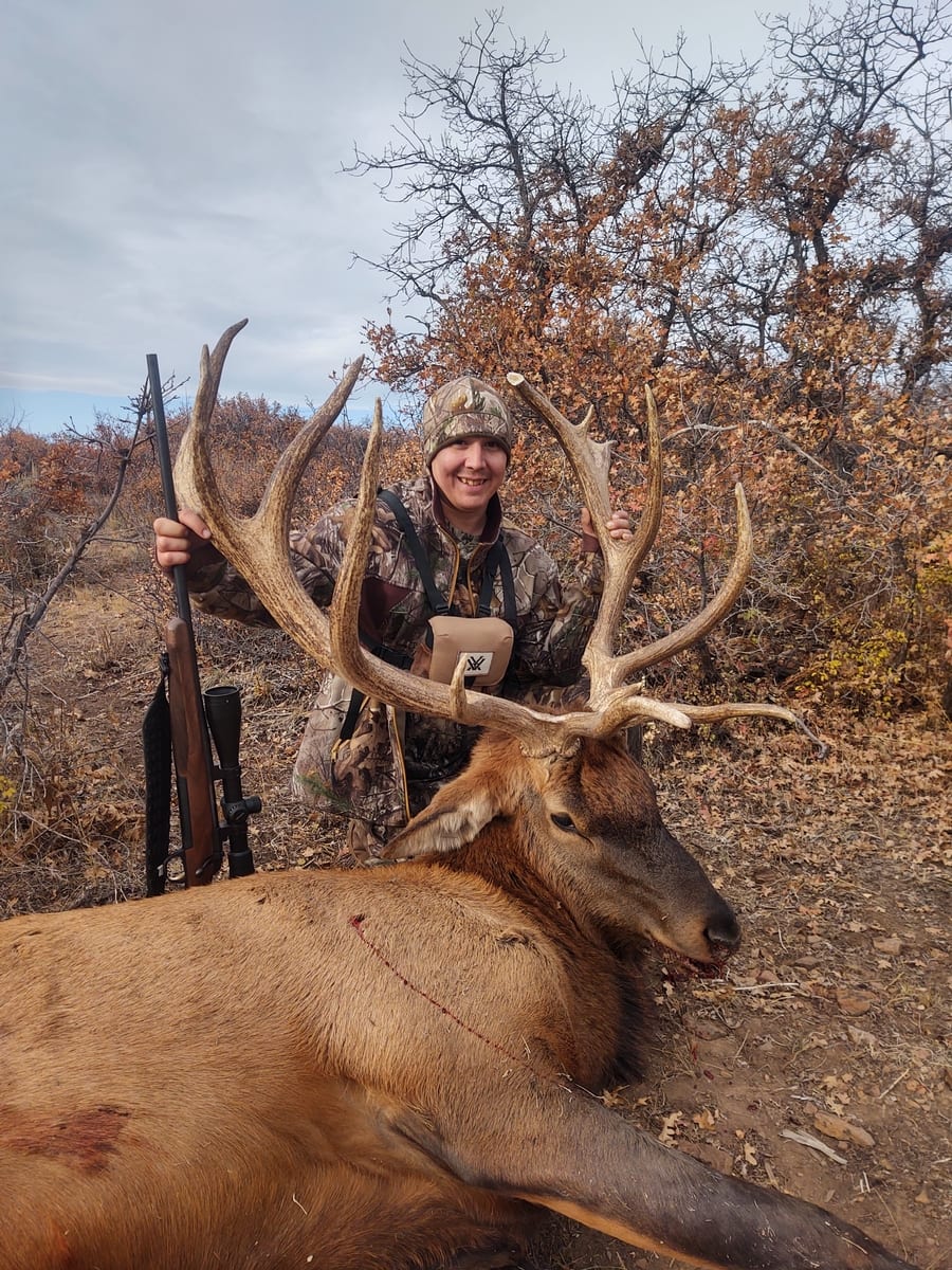 Western Colorado Elk