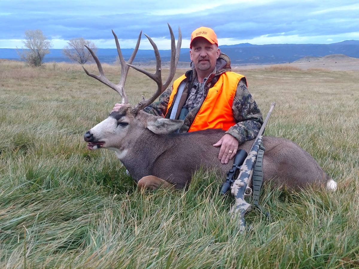 Mule Deer Hunts CO