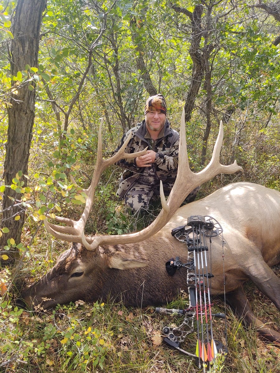 Elk Hunting Guide