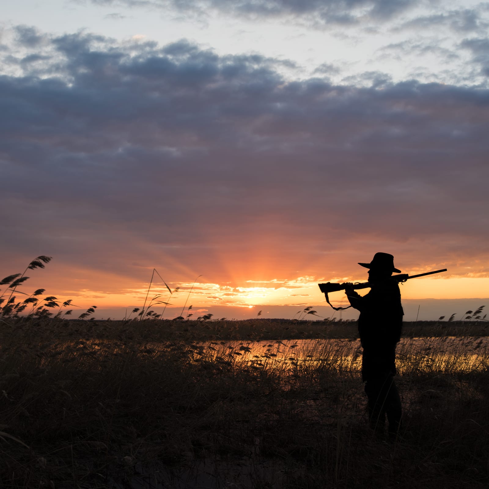 A hunter is silhouetted against a sunset in a field with a rifle.