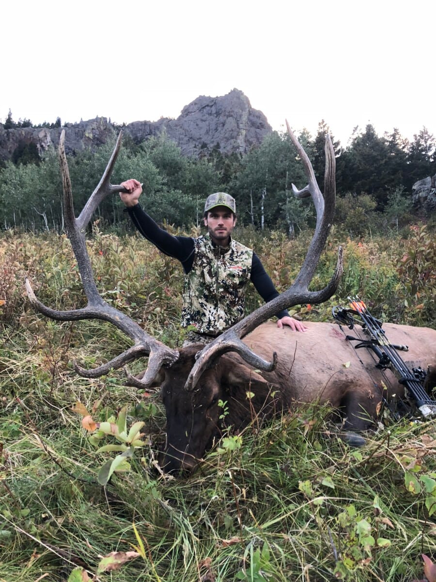 A hunter poses with a harvested elk in a grassy, mountainous area.