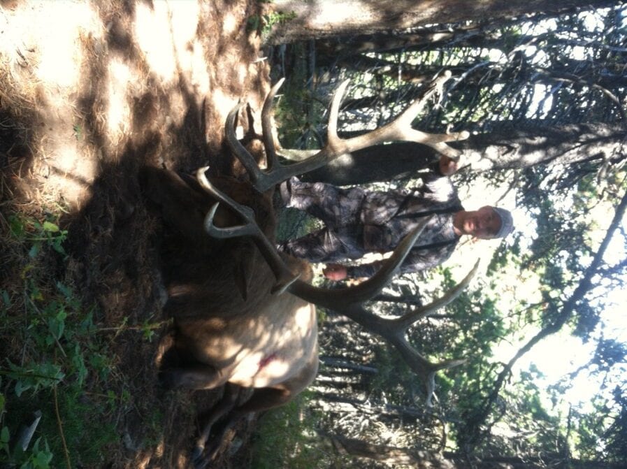 West Butte Ranch Elk Hunting