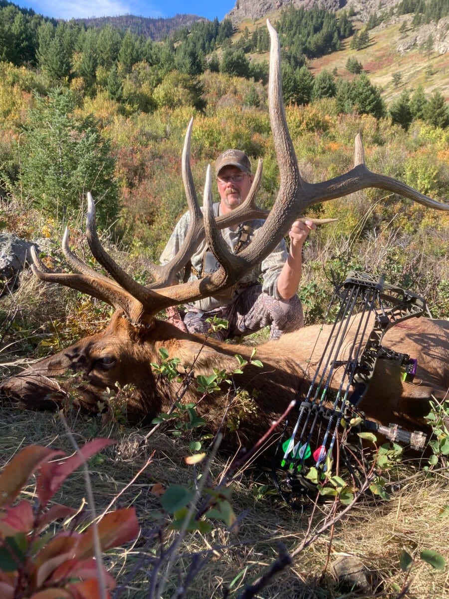 A hunter poses with a harvested elk and a bow in a mountainous, forested area.