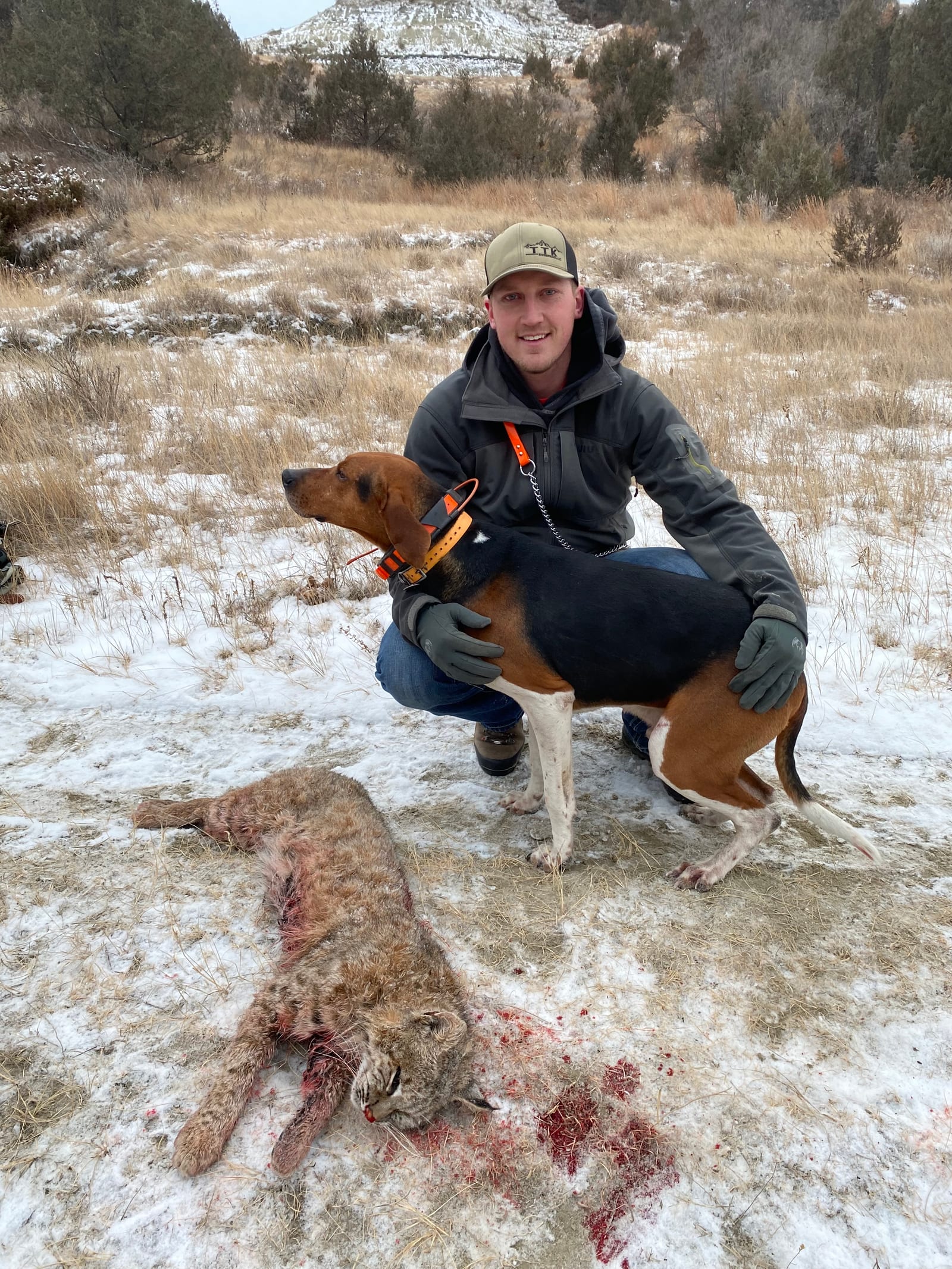 Guided mountain lion, elk, deer, and antelope hunts in Wyoming