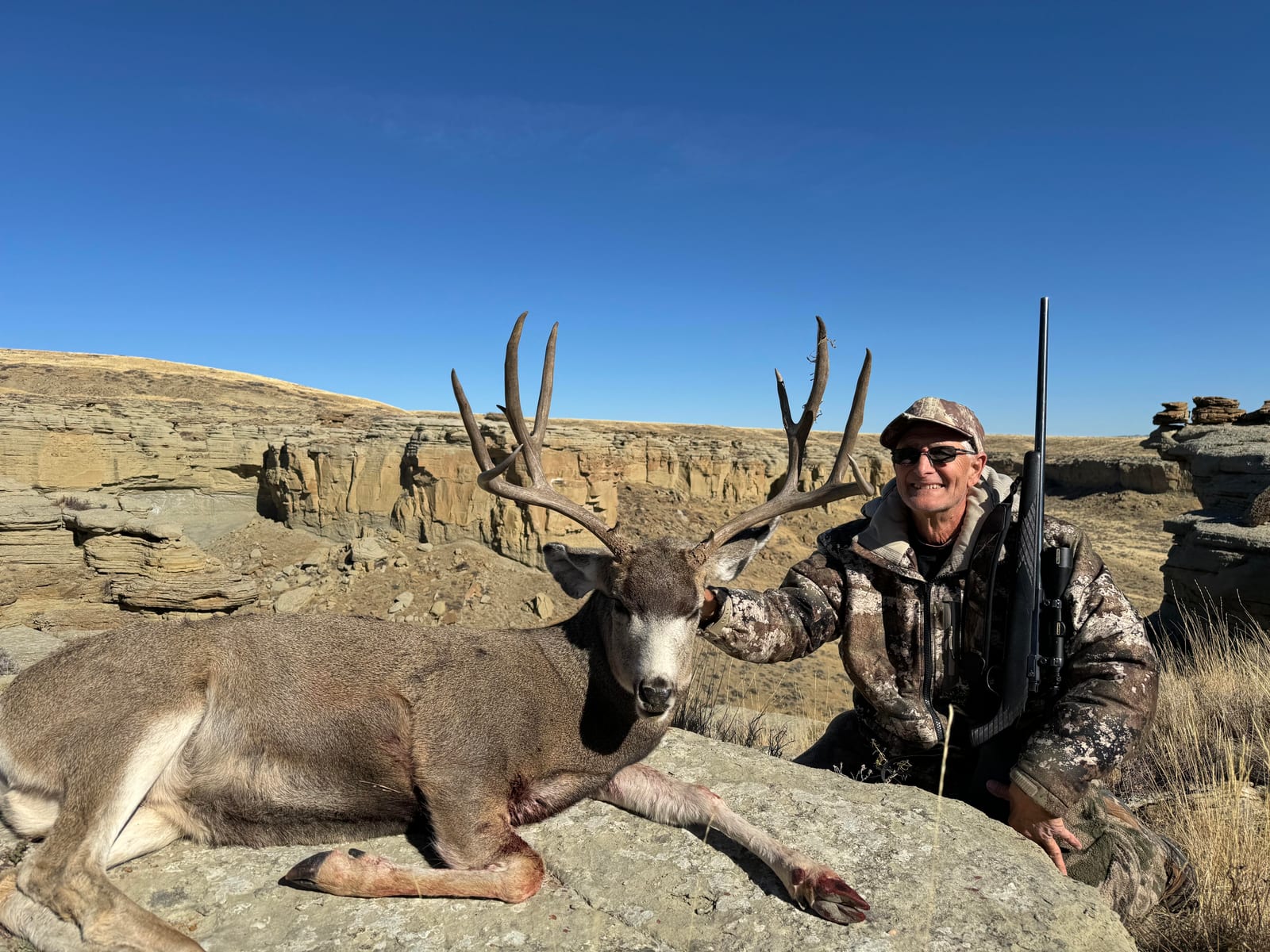 Wyoming mule deer outfitter, Guided mule deer hunt in Wyoming, Guided mule deer hunt, trophy mule deer outfitters