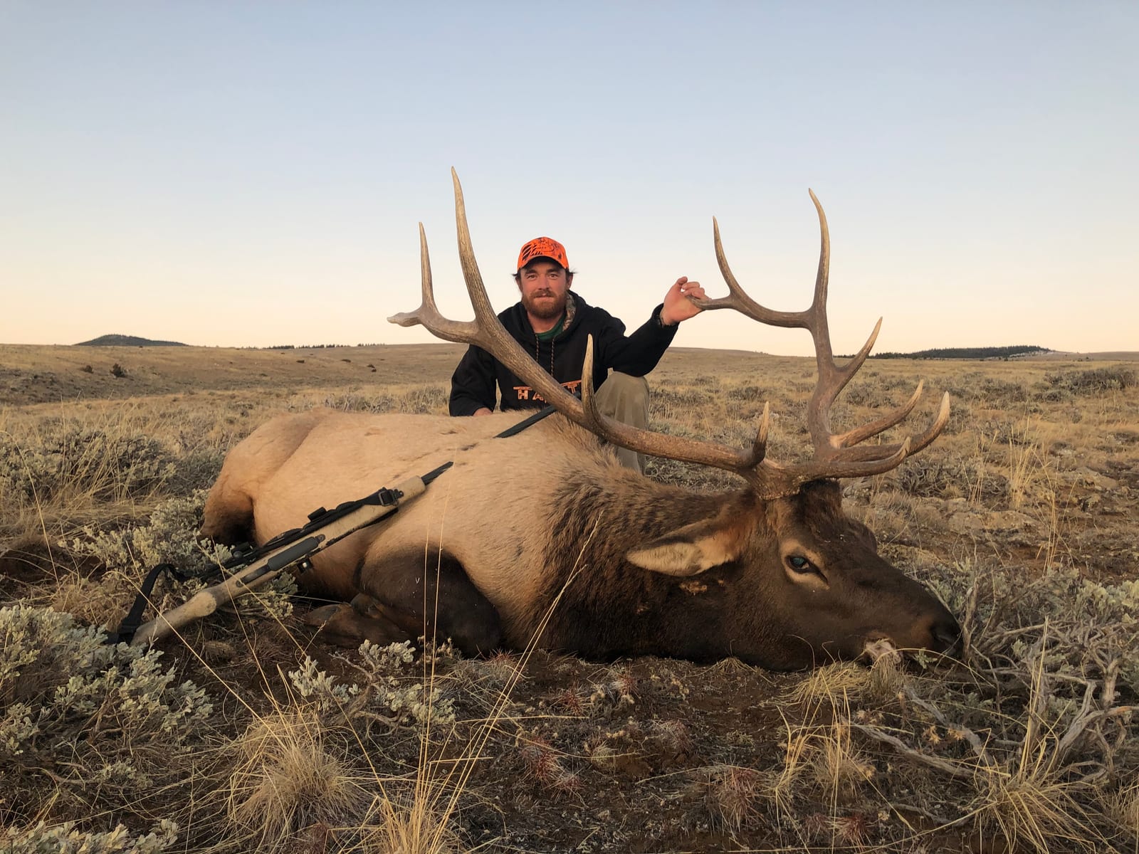 Guided mountain lion, elk, deer, and antelope hunts in Wyoming