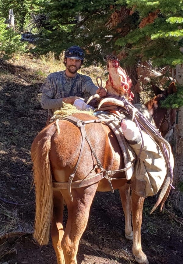 Guided mountain lion, elk, deer, and antelope hunts in Wyoming