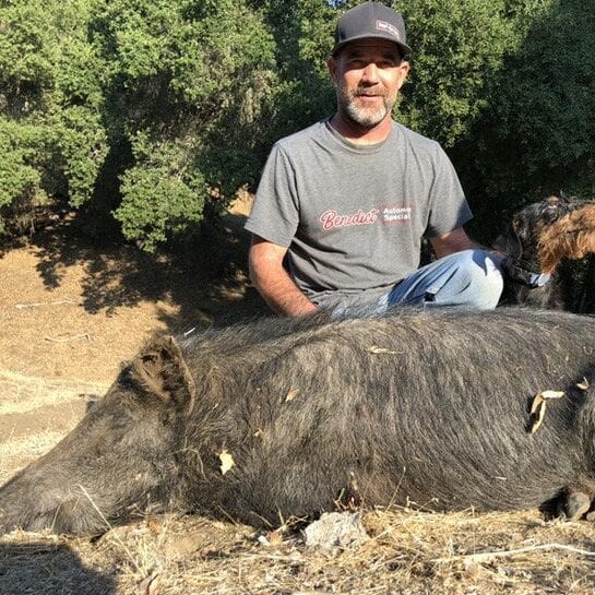 Oak Ridge Outfitter - solo hog hunt