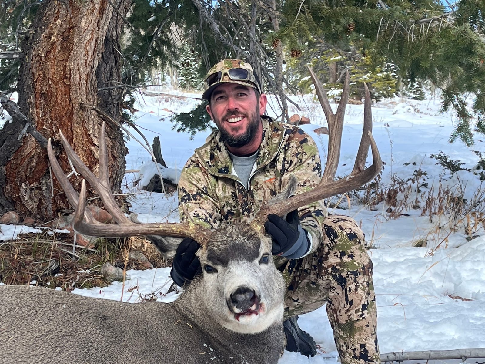 GMU 444 Mule deer buck, Old Time Outfitting D&G Horses
