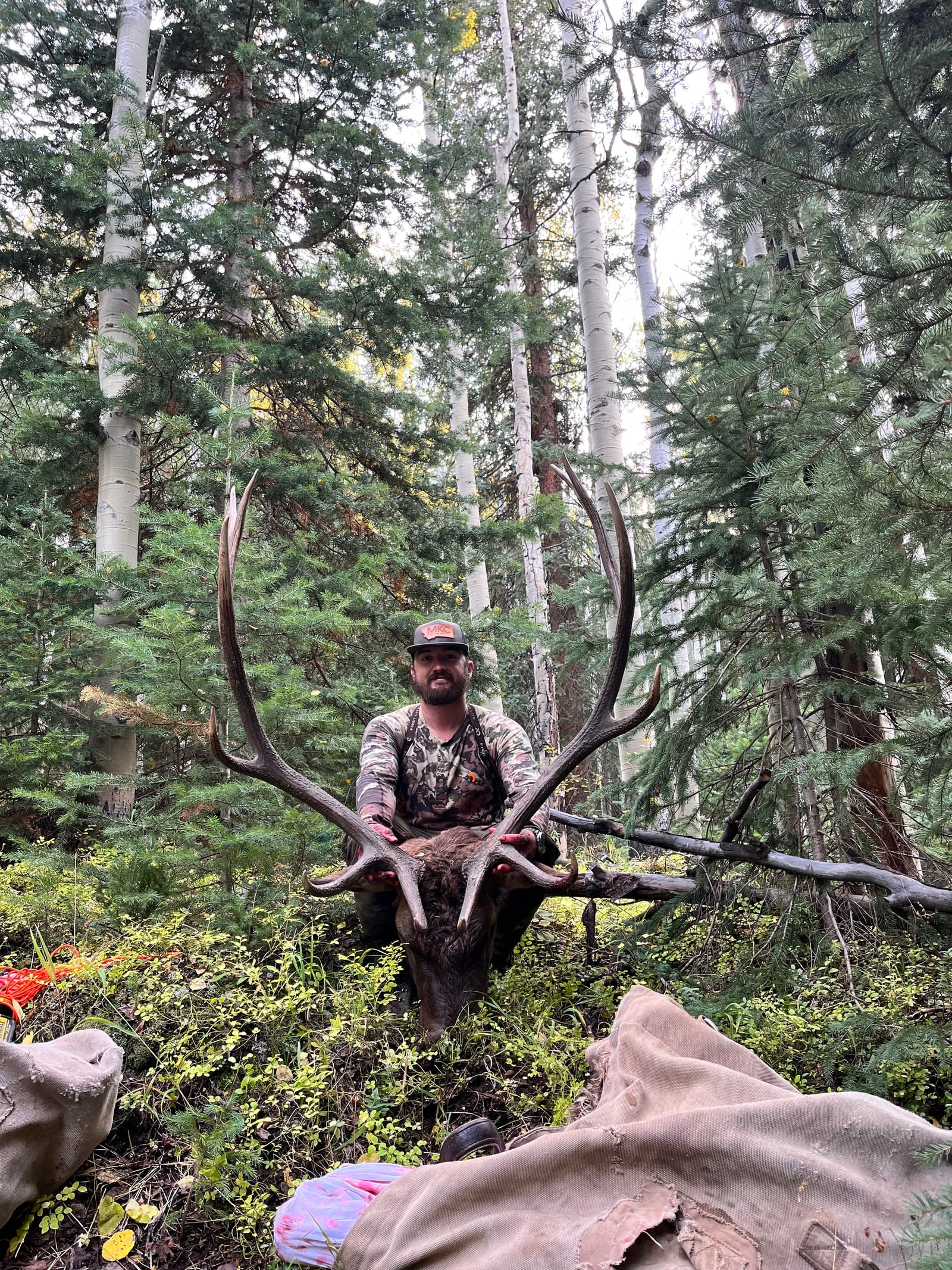 Unit 47 bull elk, Old Time Outfitting D&G Horses