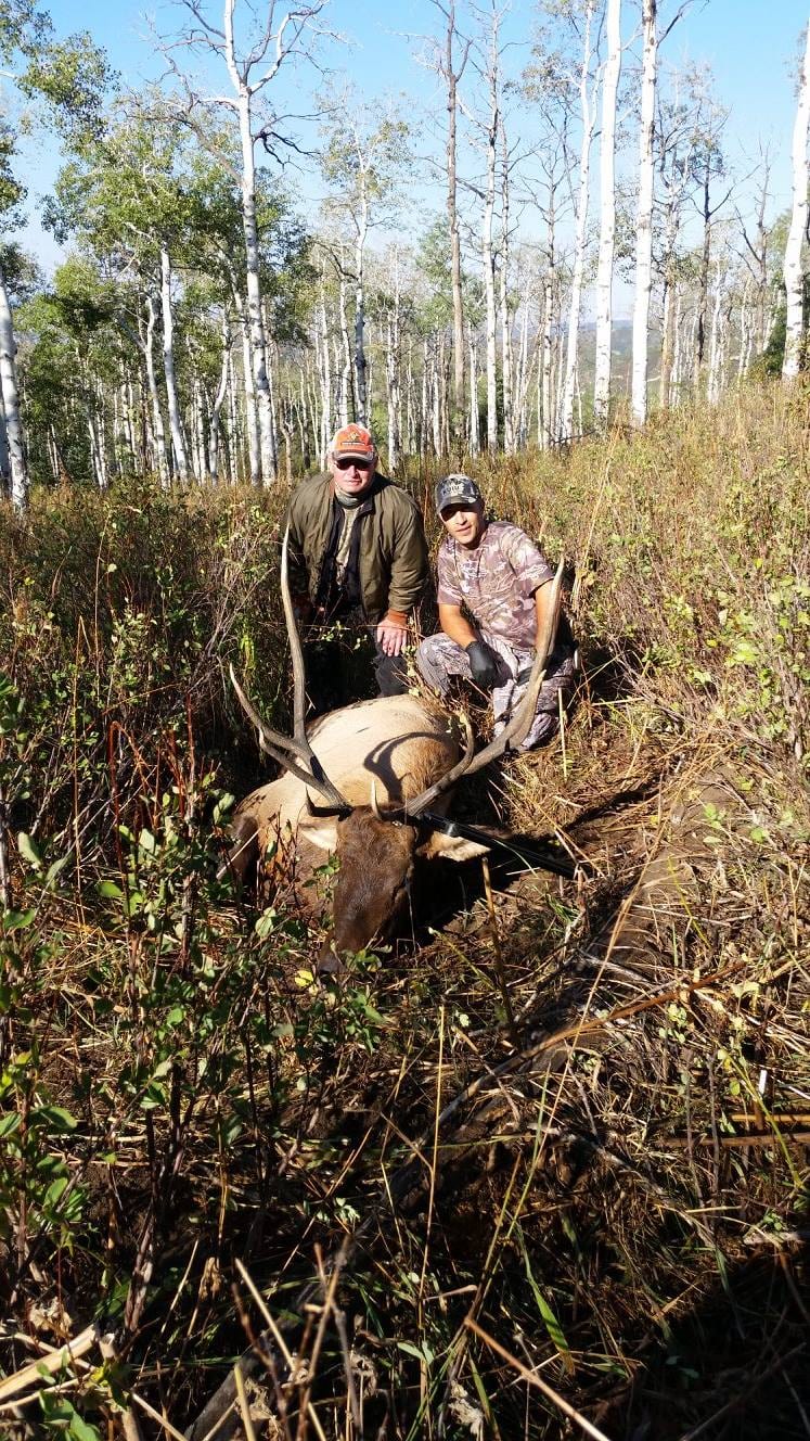 Hunter and Guide with Elk in Meadow