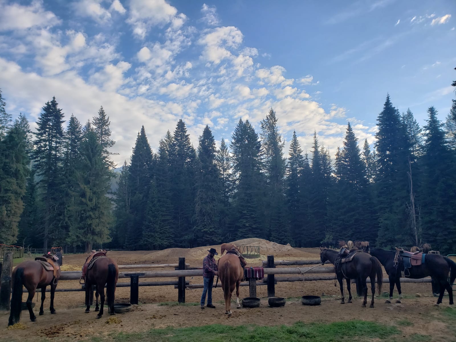People with horses at a camp with a forest in the background under a cloudy sky.