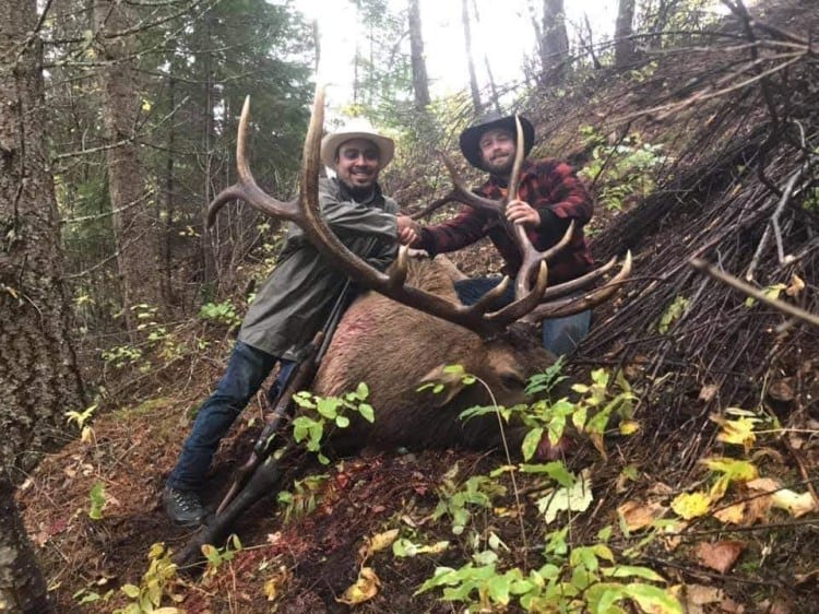 Two hunters pose with a harvested elk in a forest.