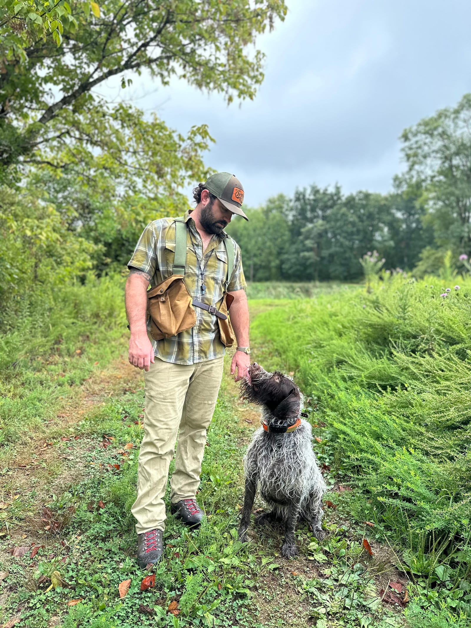 A man in hunting attire interacts with a hunting dog in a grassy field.