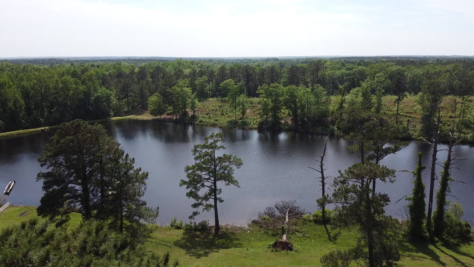 An aerial view of a lake surrounded by green trees and forest under a clear sky.