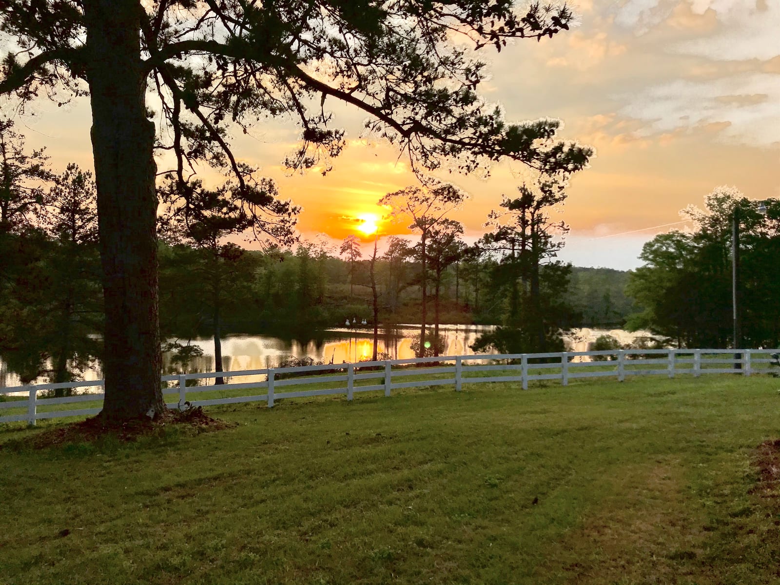 A sunset over a lake with trees and a white fence in the foreground.