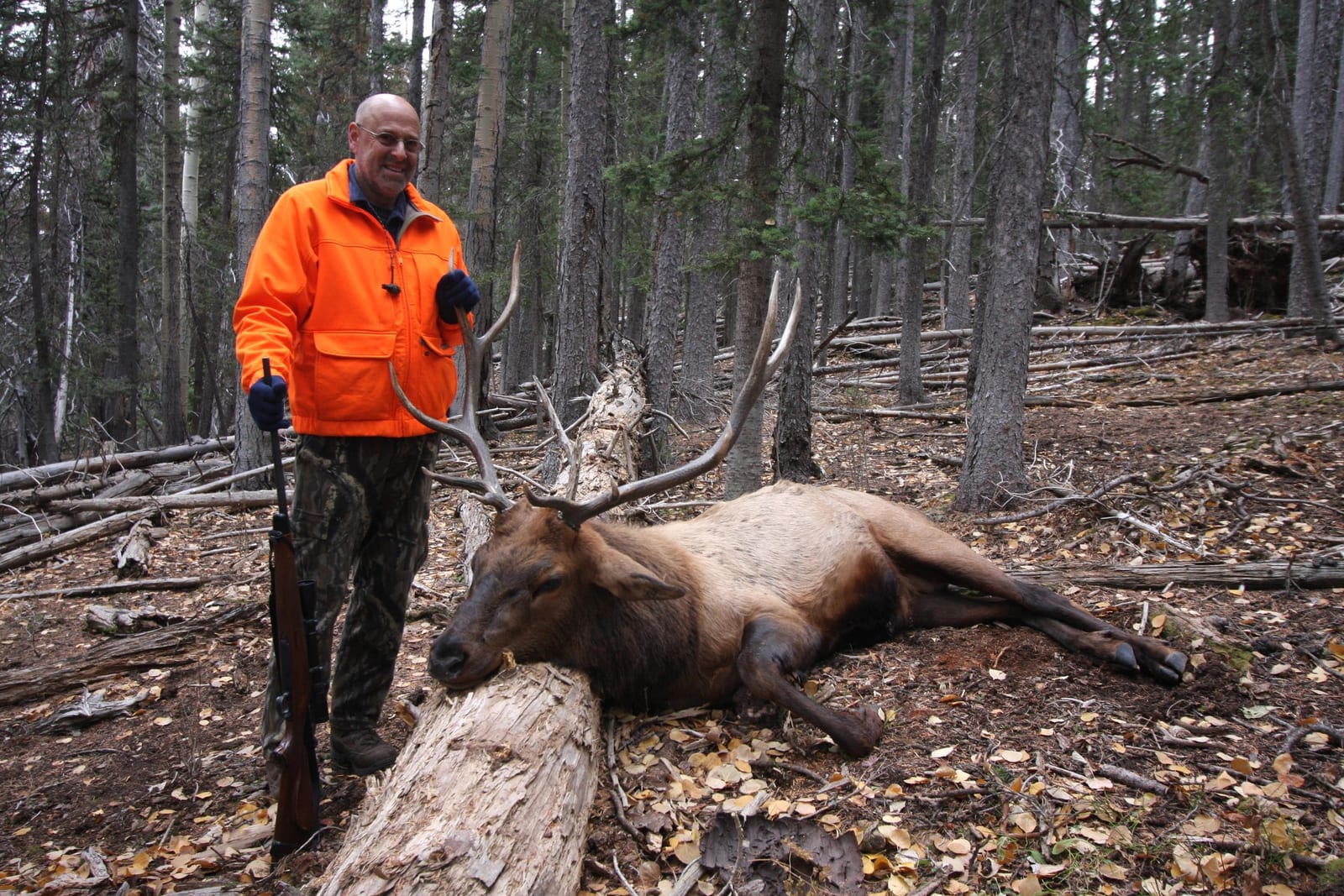 Colorado elk hunting wilderness