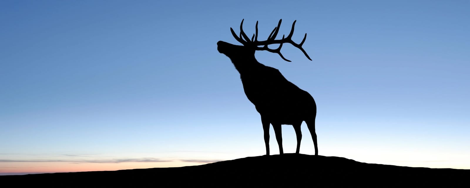 elk hunting Colorado outdoors