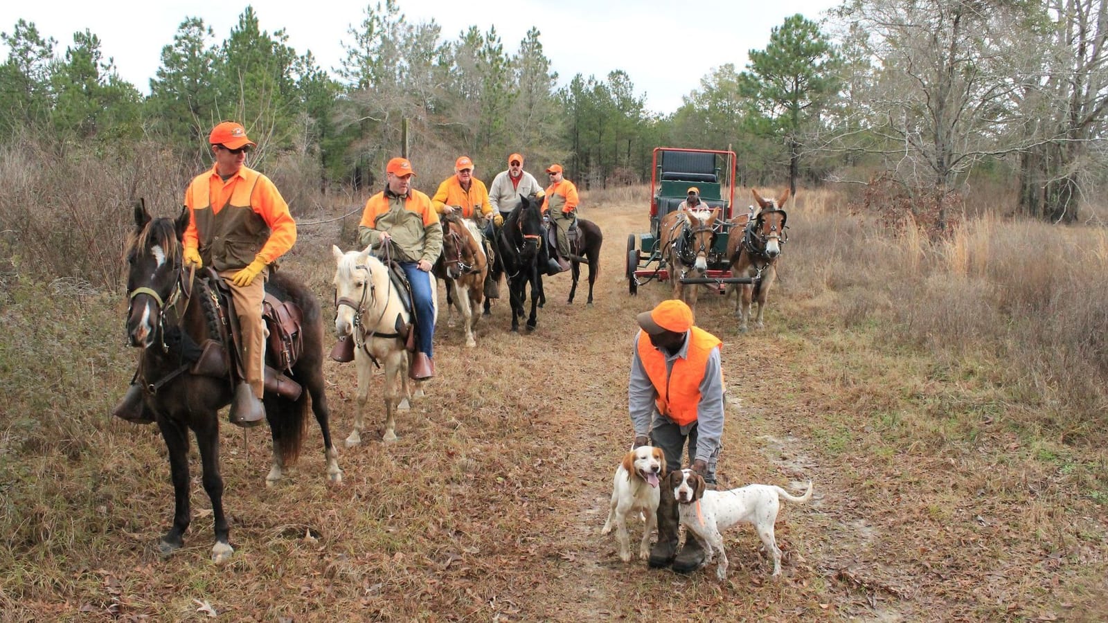 Hunters on horseback and with dogs in a field with trees in the background.