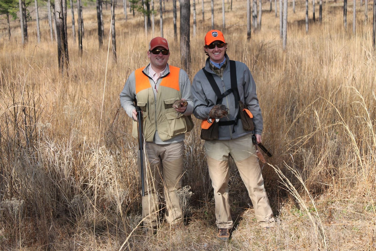 Two hunters in orange vests pose with harvested northern bobwhite quail in a field.