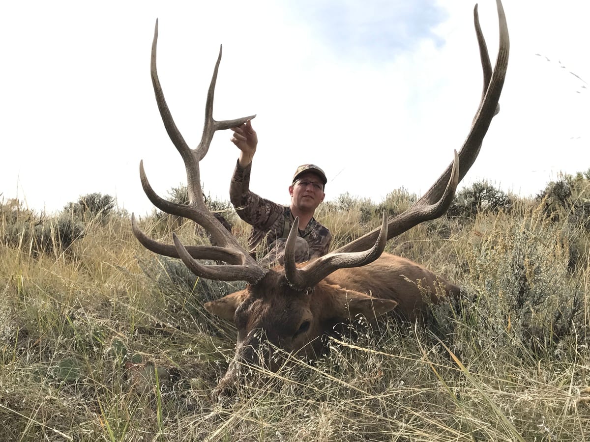 Wyoming Elk Hunting Area 113
