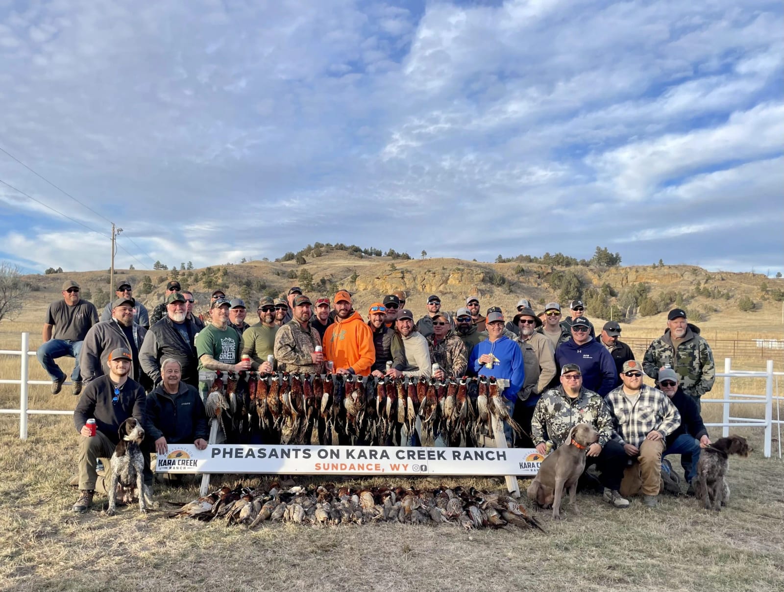 A large group of hunters poses with their harvested ring-necked pheasants and hunting dogs in a field under a cloudy sky.