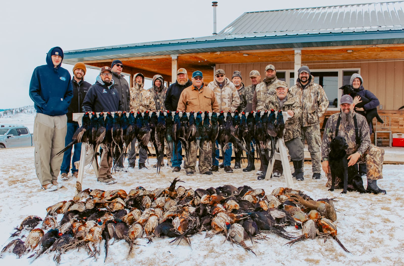 A group of hunters poses with their harvest of ring-necked pheasants in the snow outside a lodge.