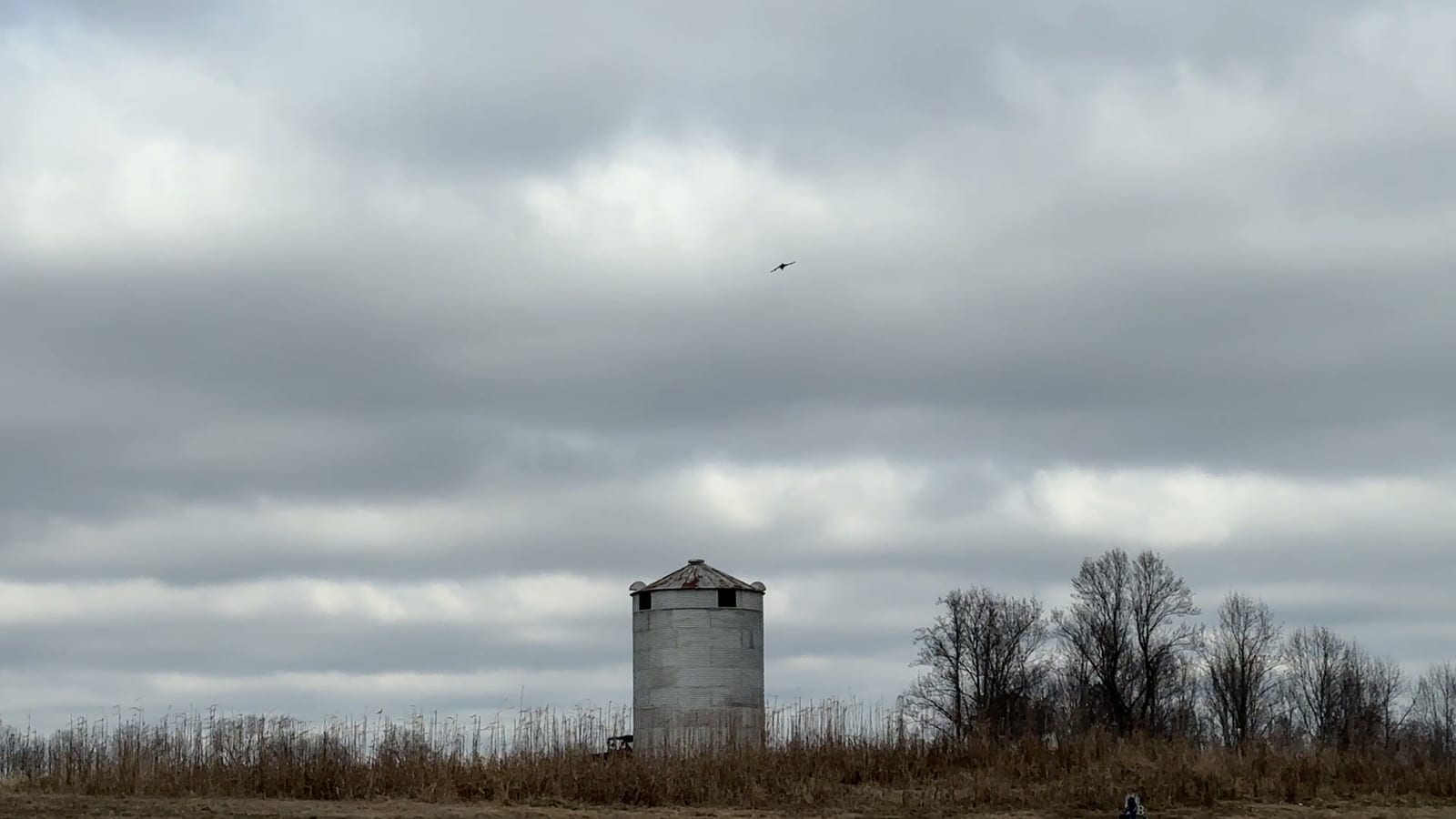 A silo stands in a field under a cloudy sky, with a bird flying overhead.