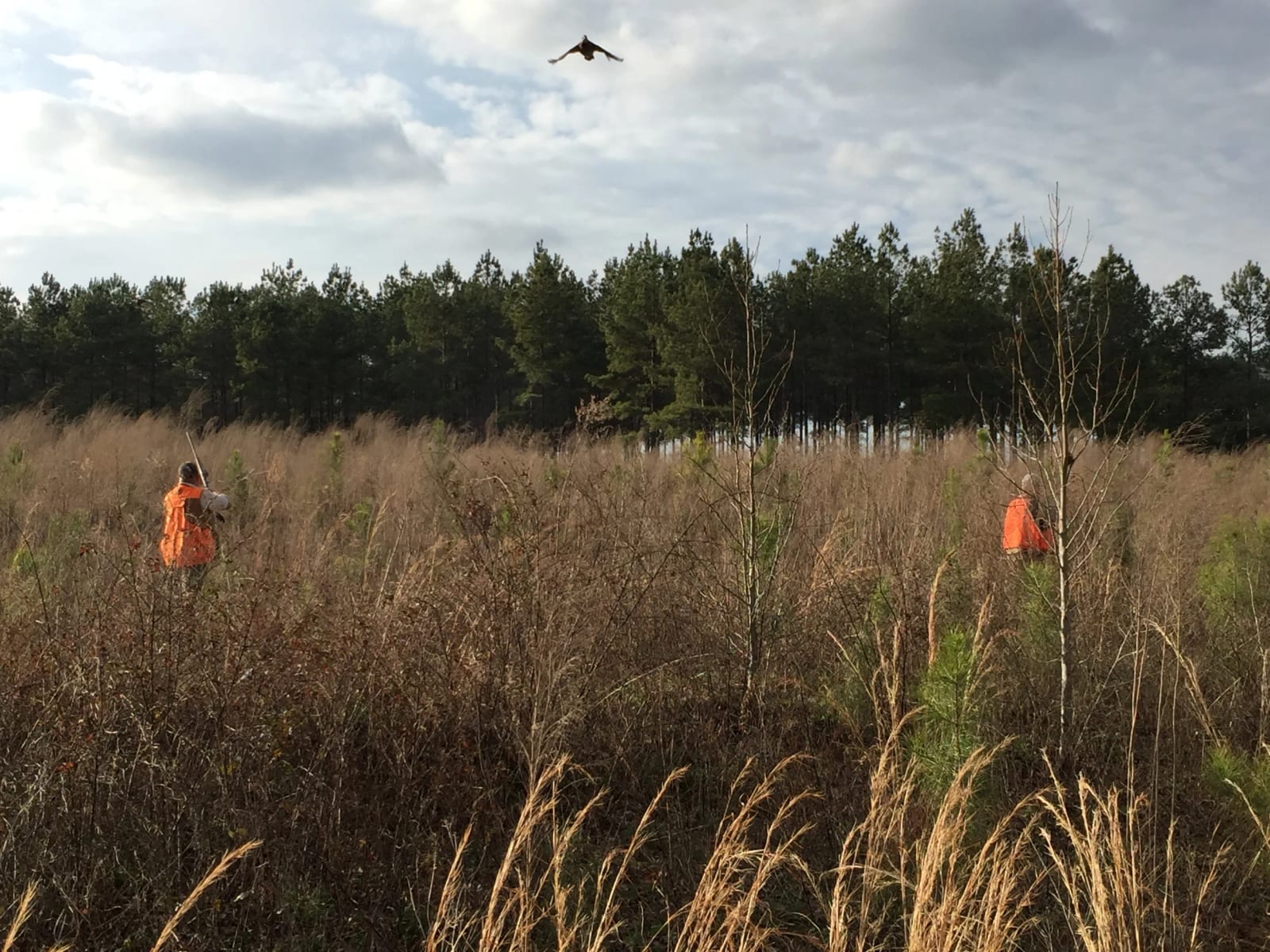 Piney Woods Hunting Lodge