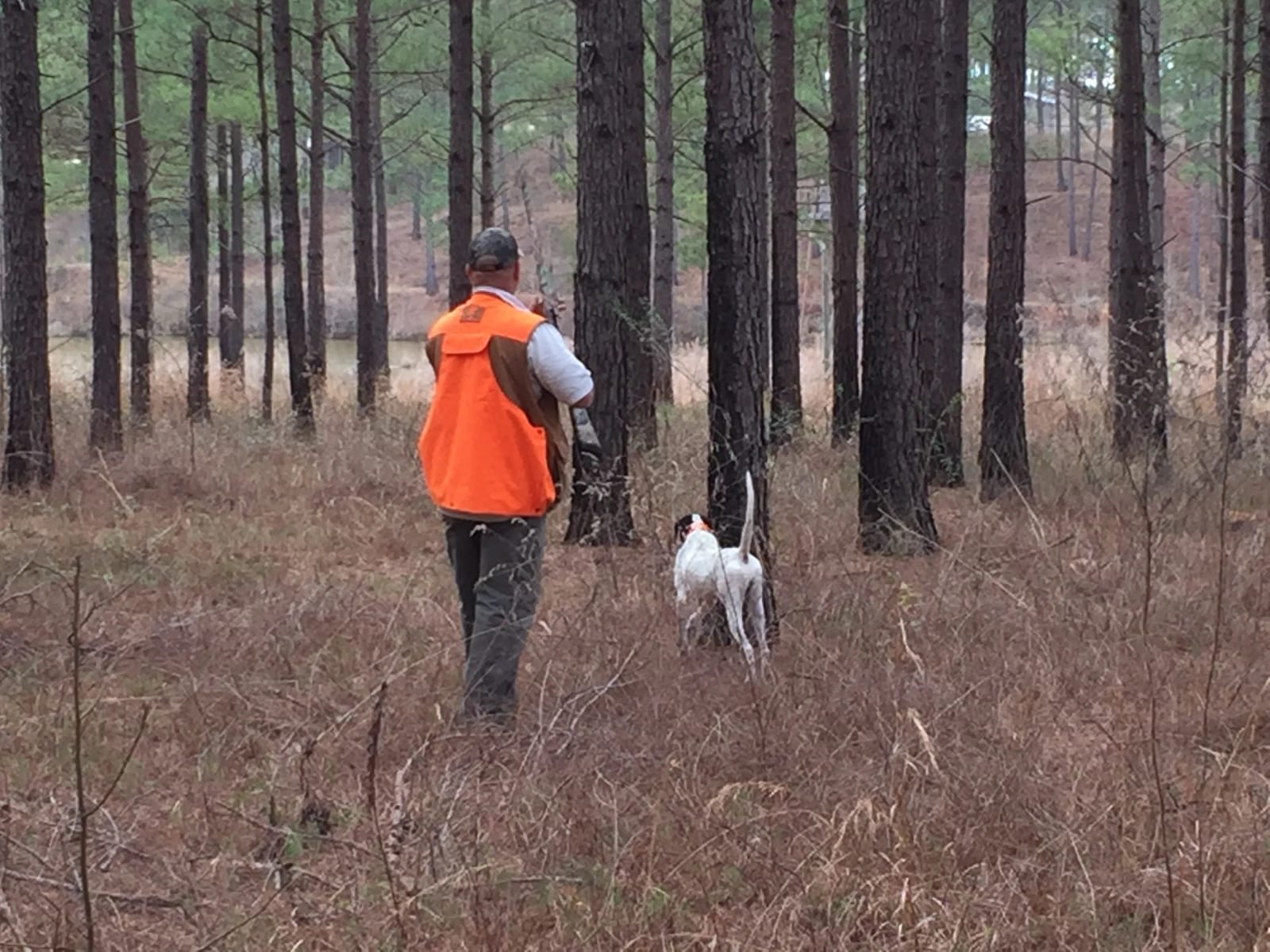 Piney Woods Hunting Lodge