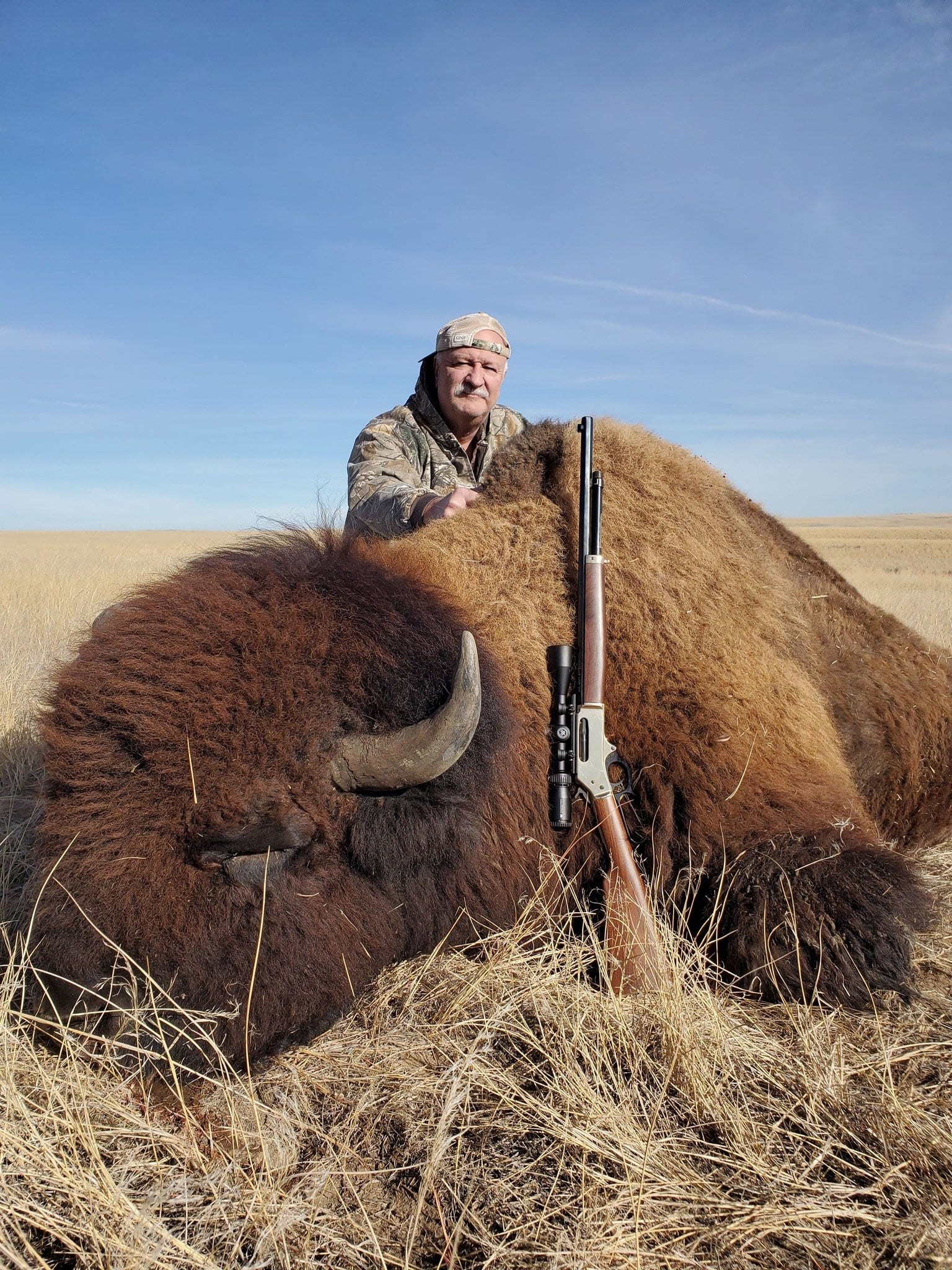 A hunter poses with a harvested bison in a grassy field under a clear blue sky.