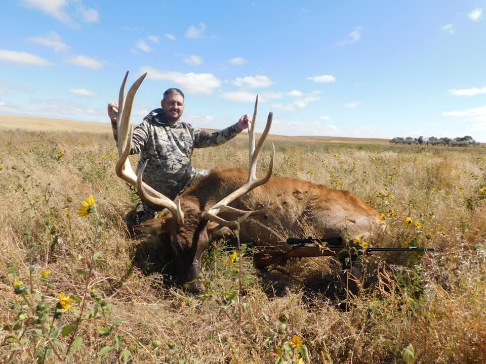 A hunter poses with a harvested elk in a grassy field under a blue sky.