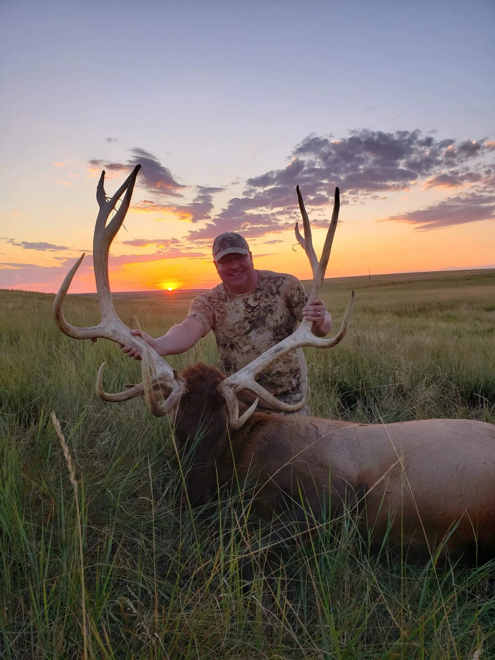 A hunter poses with a harvested elk at sunset in a grassy field.