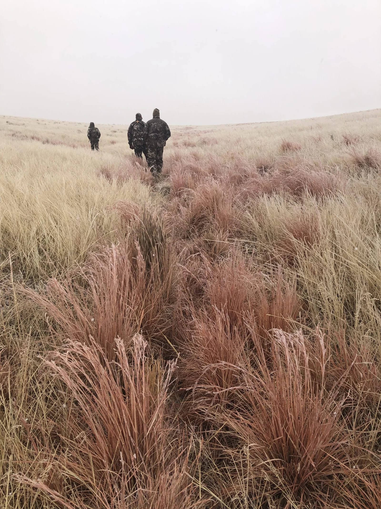 Three hunters walk through a field of tall grass on a cloudy day.