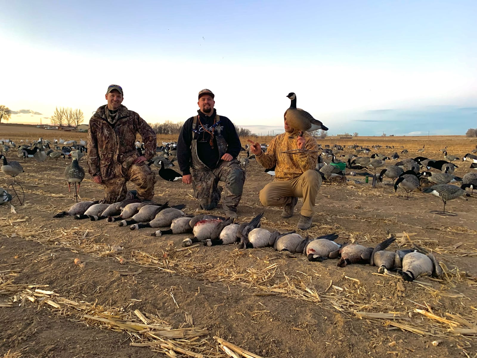 Three men in camouflage and hunting gear posing with their duck and goose game, some of which are laid out on the ground and some are held by one of the men, in a field with hundreds of ducks and geese in the background at sunset.
