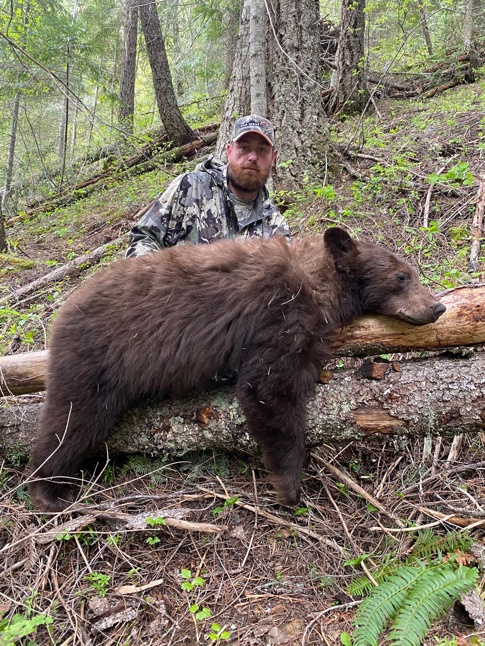 A hunter poses with a harvested black bear in a forest.
