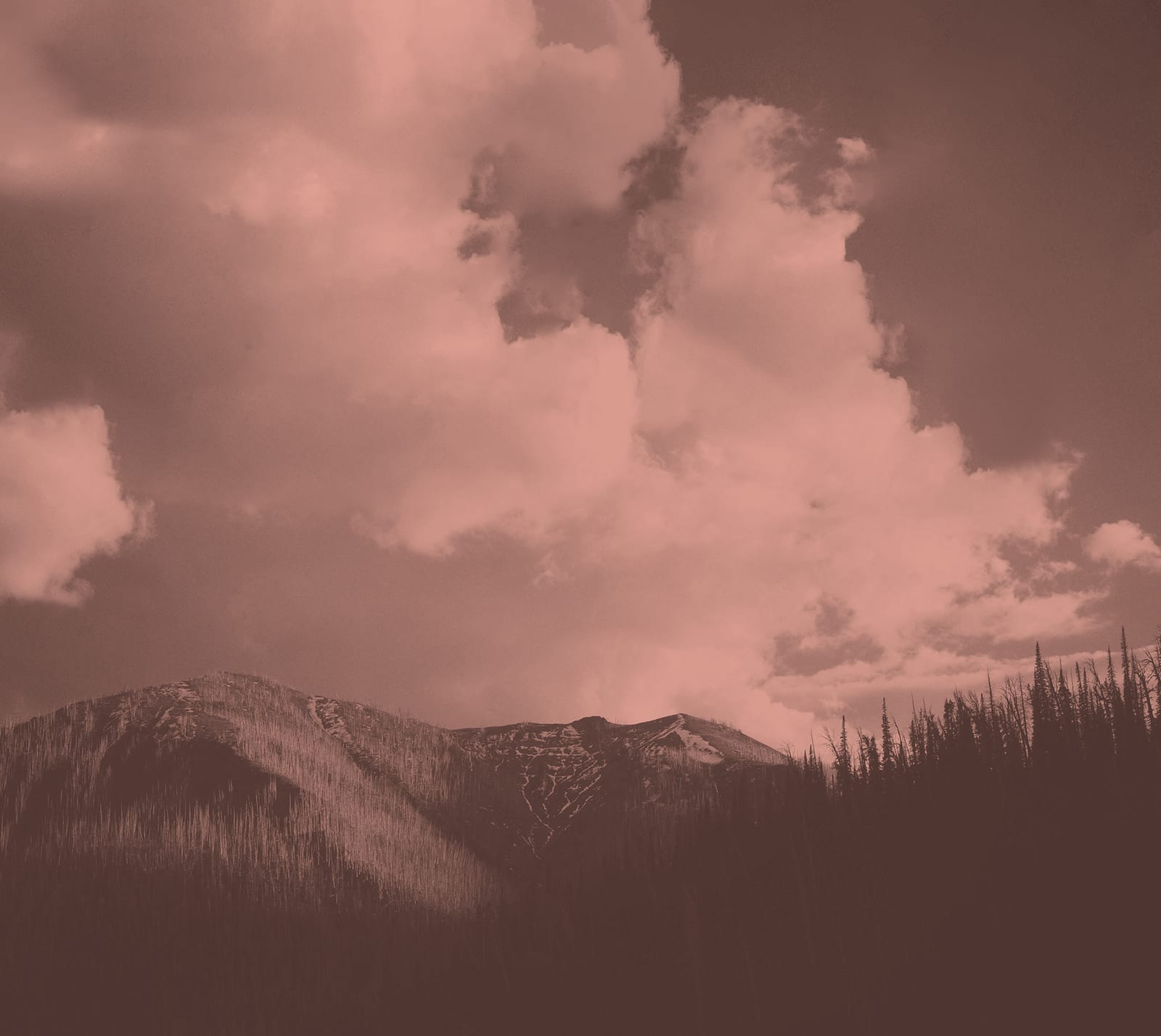 A sepia-toned landscape features mountains under a cloudy sky, with trees silhouetted in the foreground.