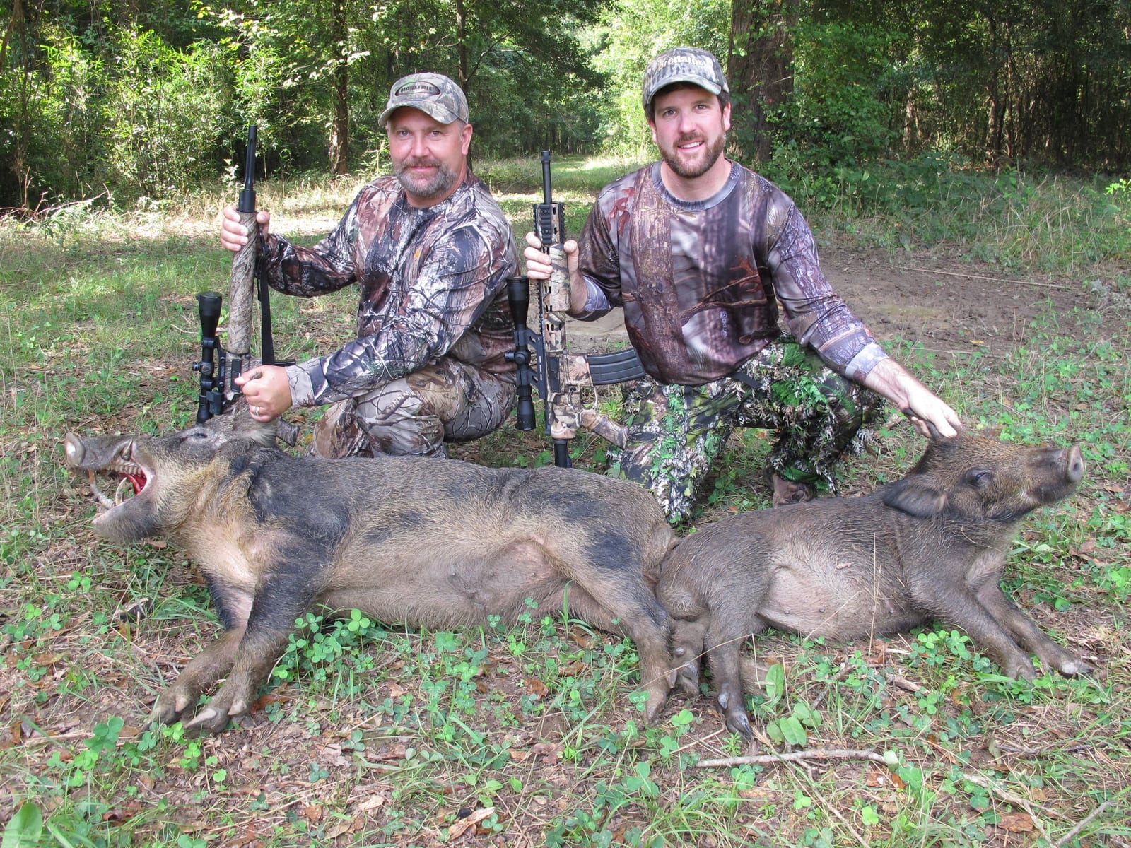 Two hunters in camouflage pose with two harvested wild boars in a grassy, wooded area.