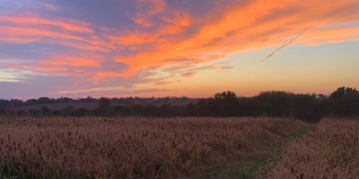Bird Hunting in Kentucky