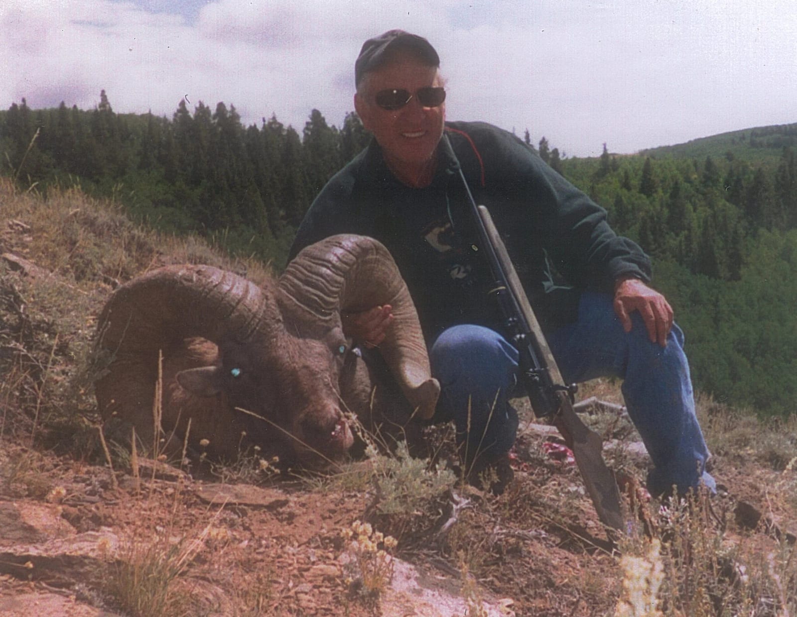 View Our Bighorn Sheep Gallery