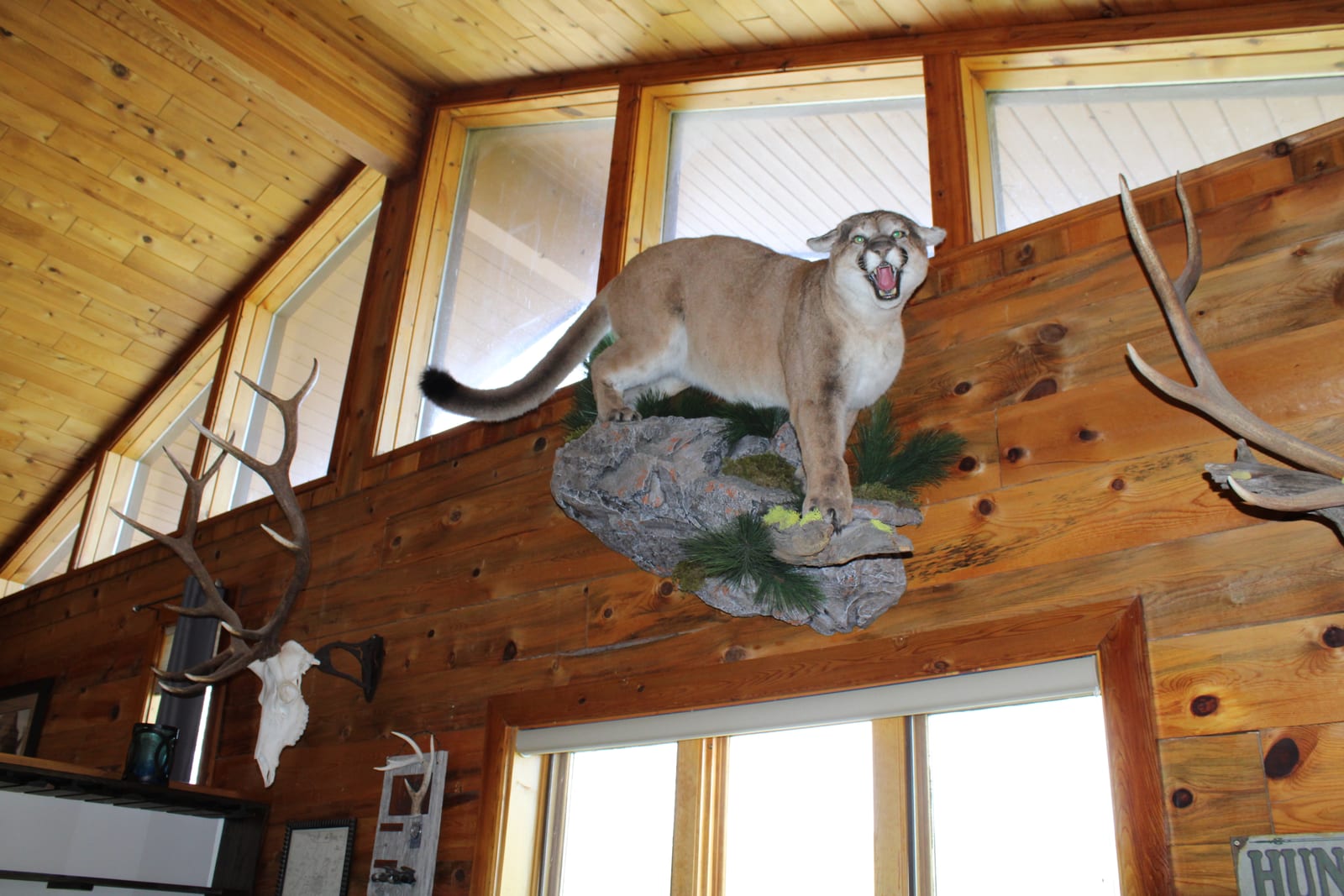 Rack & Reel Montana: Montana Hunting & Fishing Outfitter