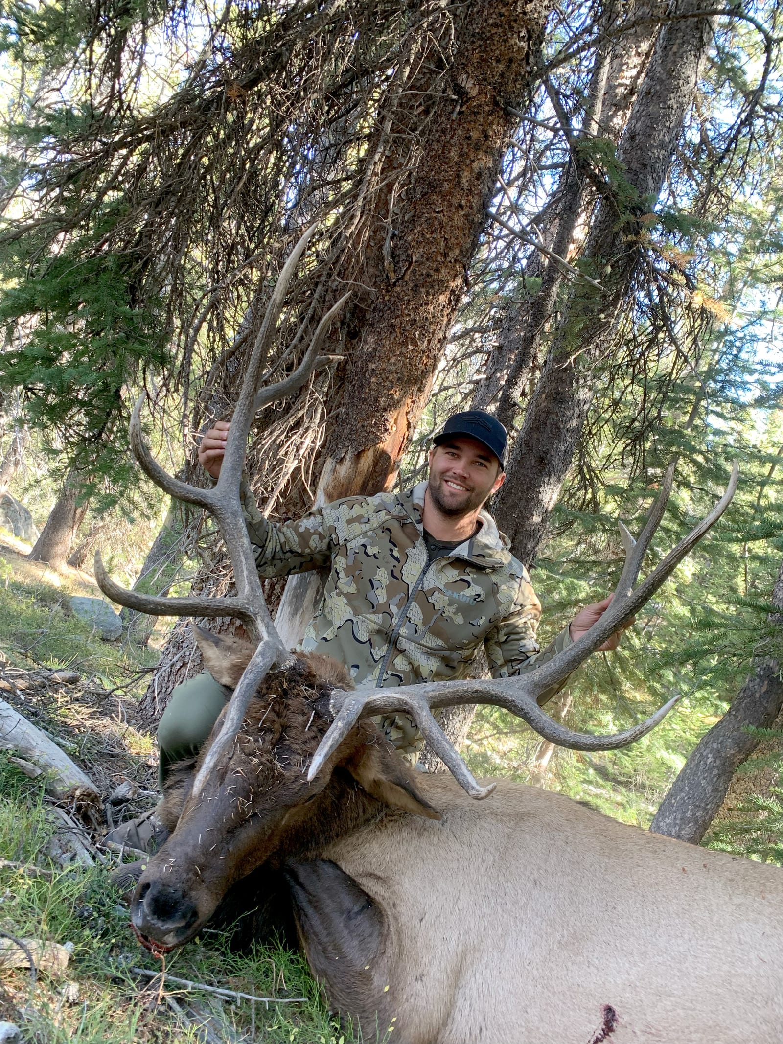 A hunter in camouflage poses with a harvested elk in a forest.