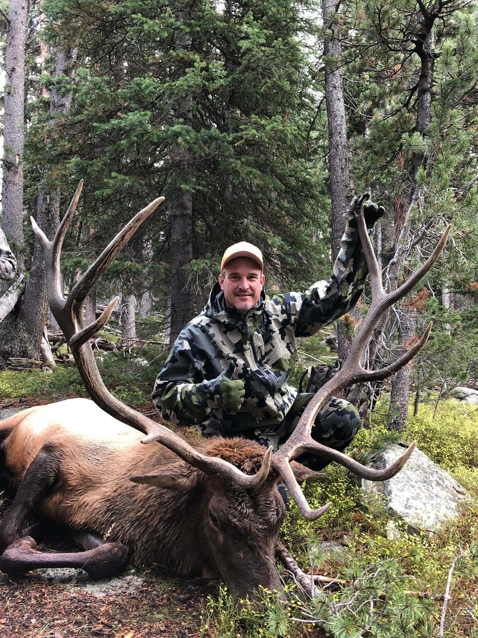 A hunter in camouflage poses with a harvested elk in a forest.