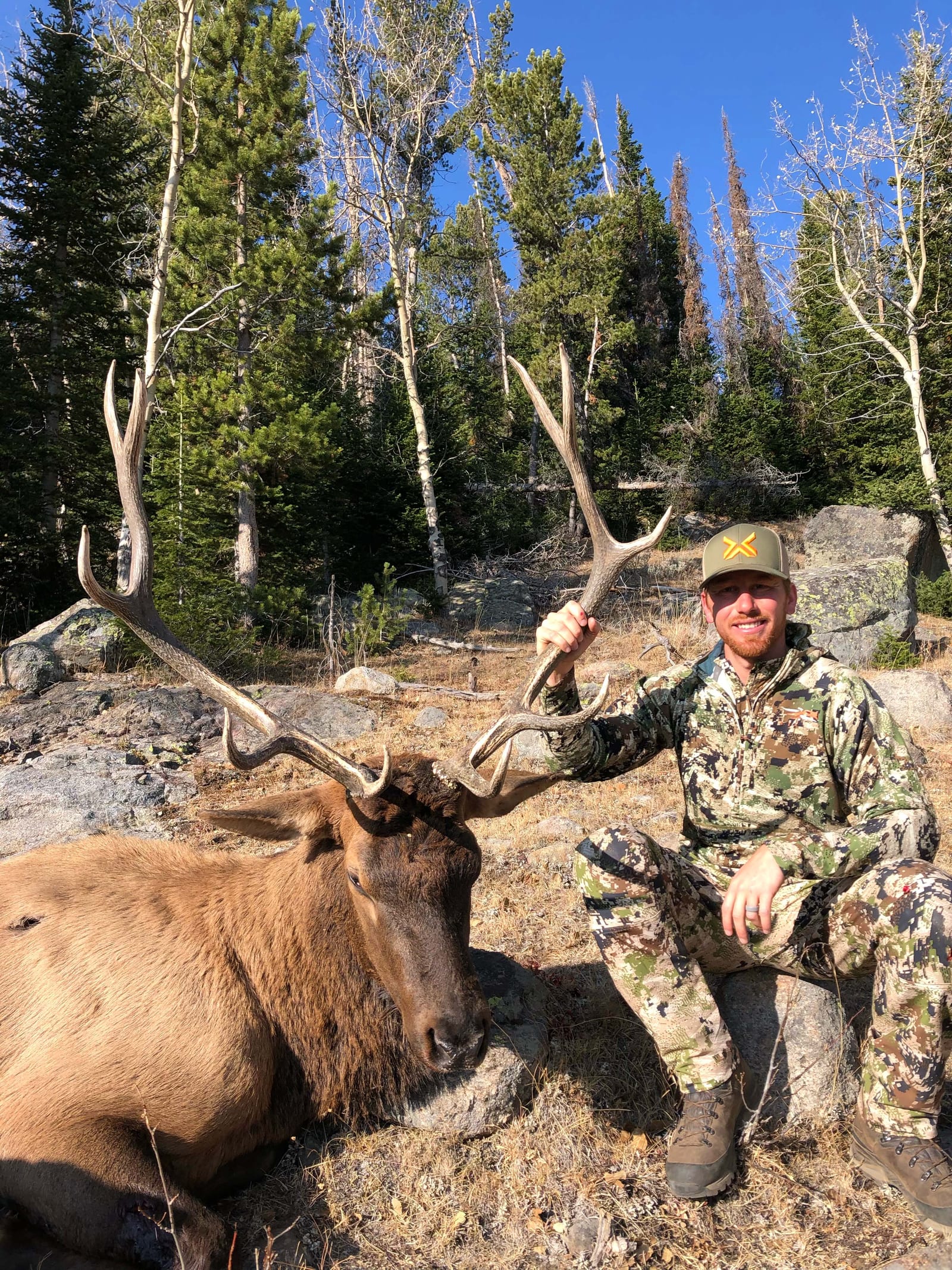 Western Wyoming Elk kill