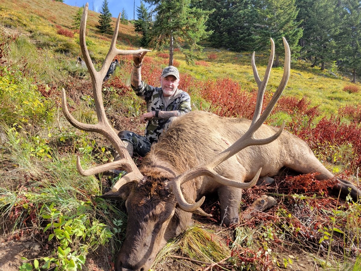 10 Day Hunts