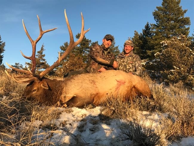 Trophy Elk Hunt in Montana