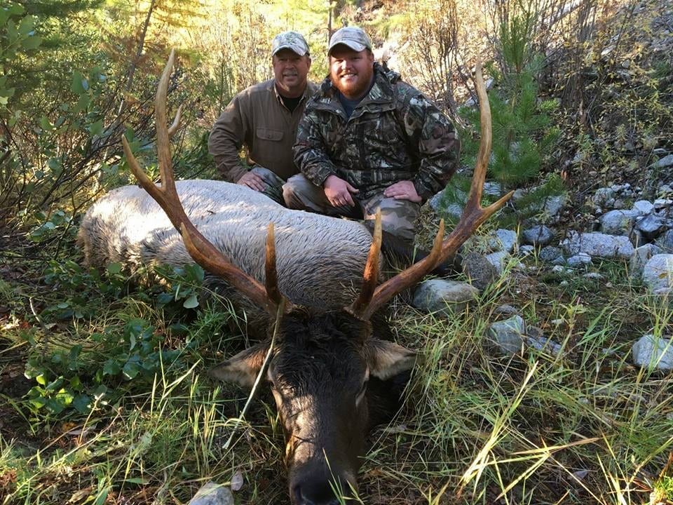 Elk Hunts Available/Rates