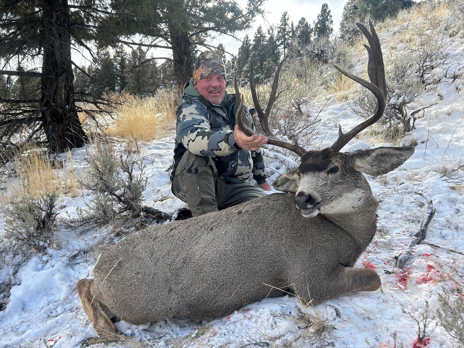 A hunter poses with a harvested mule deer in a snowy, wooded area.