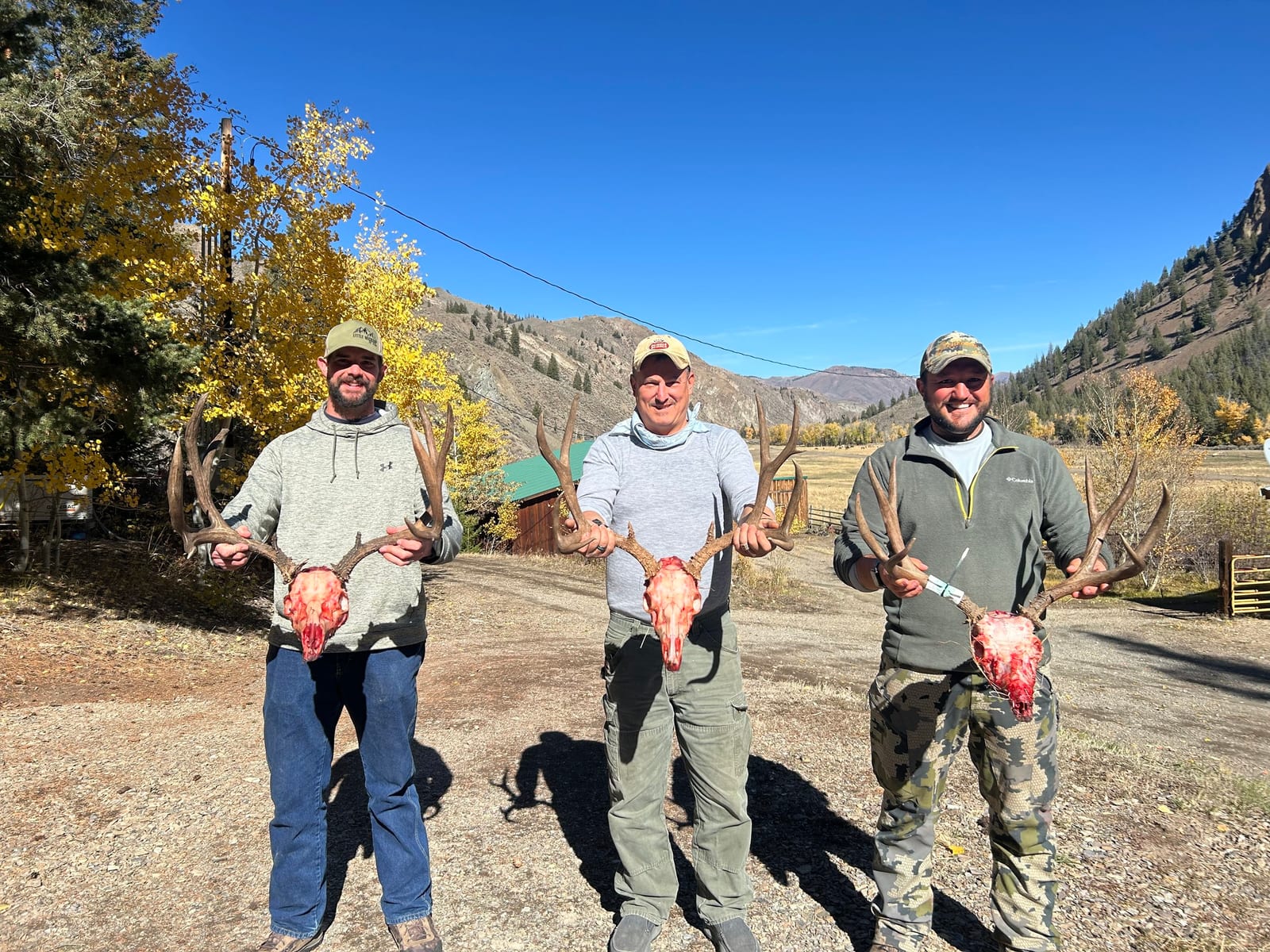 Three hunters pose with their harvested elk skulls and antlers in a mountainous outdoor setting.